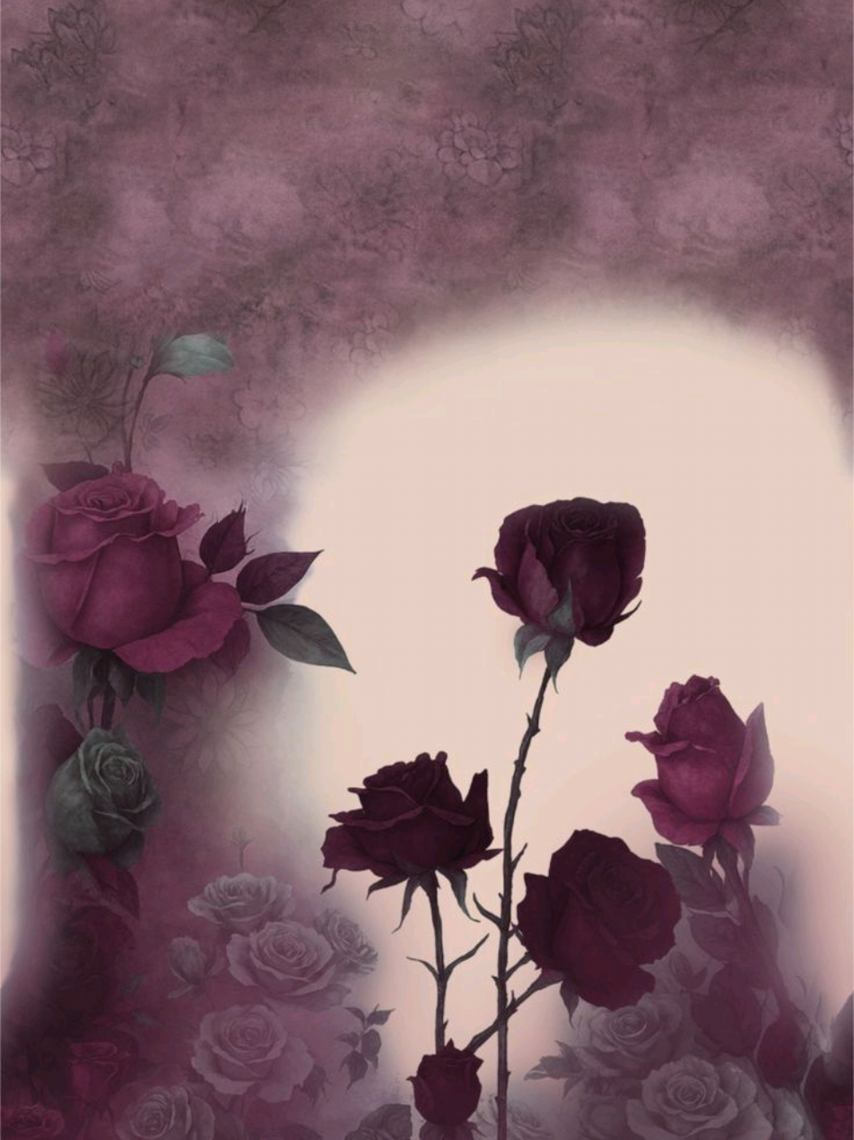 @꒰ 𓏲ℛℴ𝓈𝒶𝓁𝒾𝓃ℯ🌹 ͡꒱ ᩧ𓈒