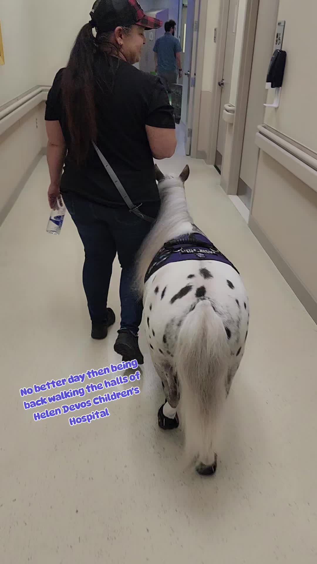 @minihorsemomandtrainer🐴🐴🐴🐴