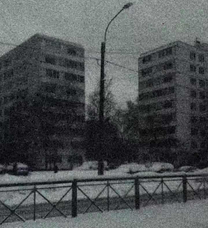 @soyy