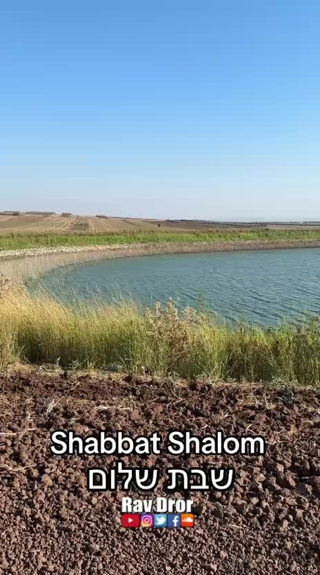 @Rav Dror