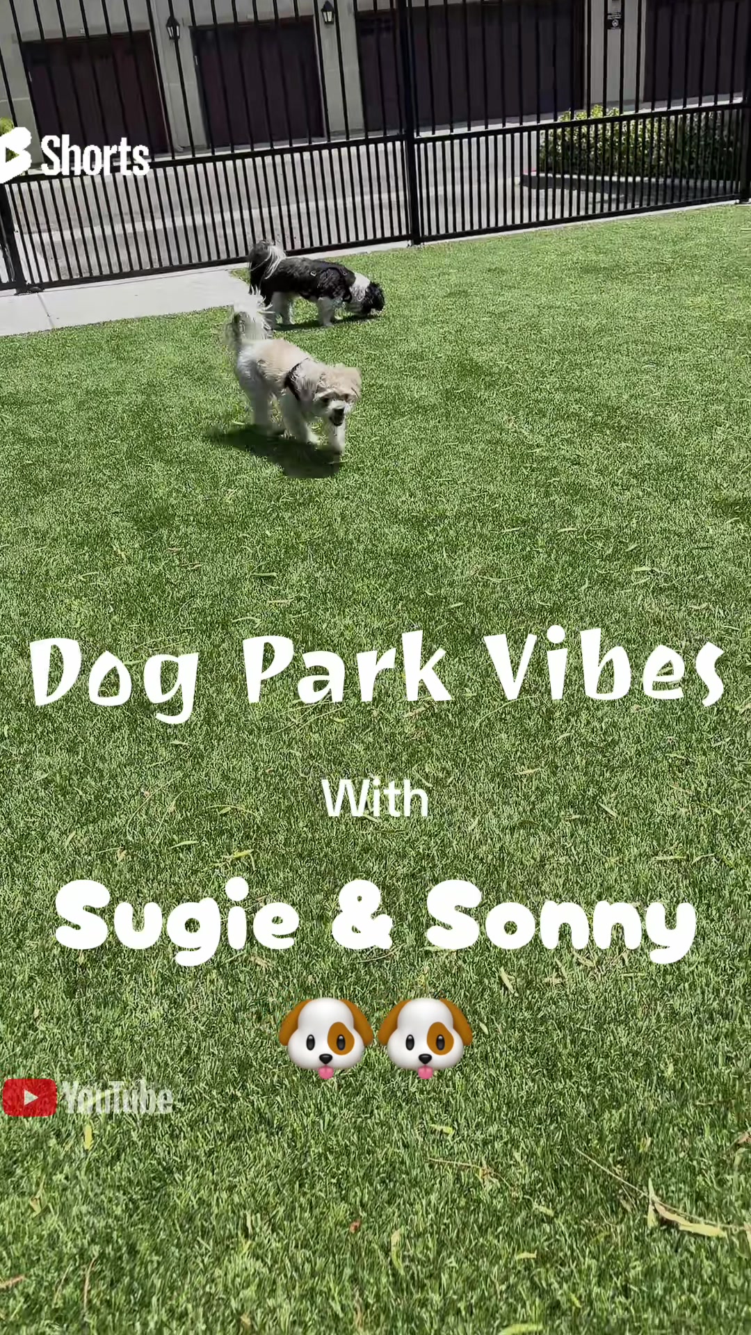 @livinlifewithsugieandsonny