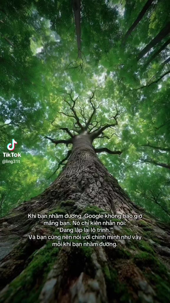 @Nấm Mối