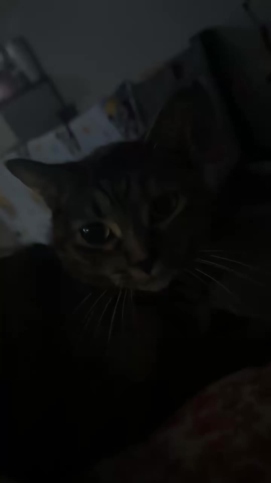 @sadiebug ๐