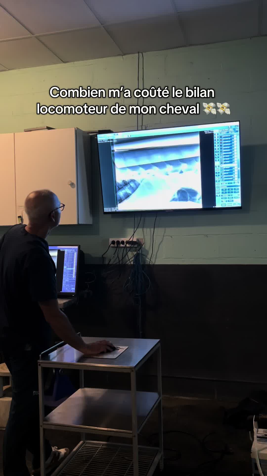@Réflexions Equestres
