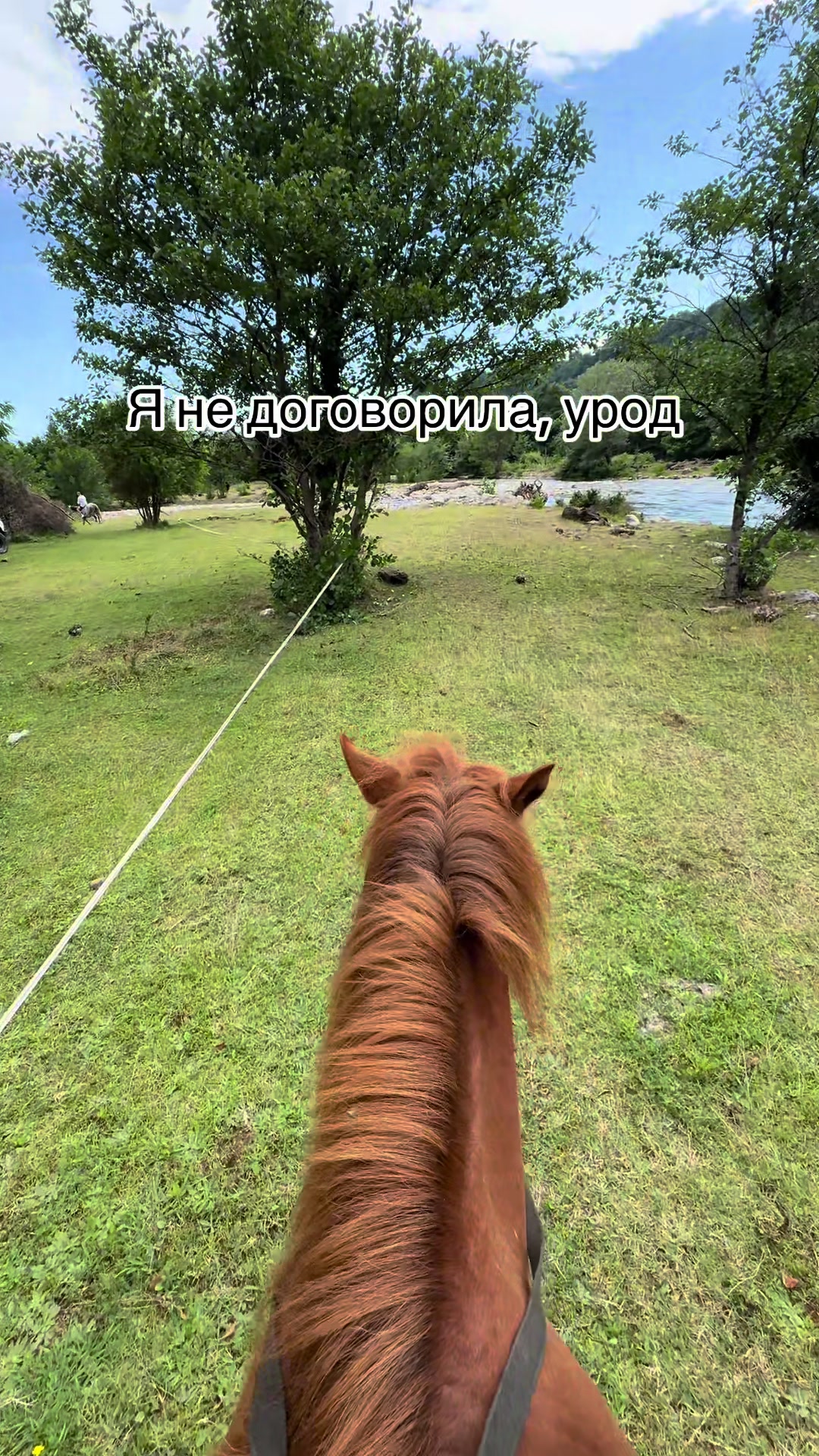 @плюшка