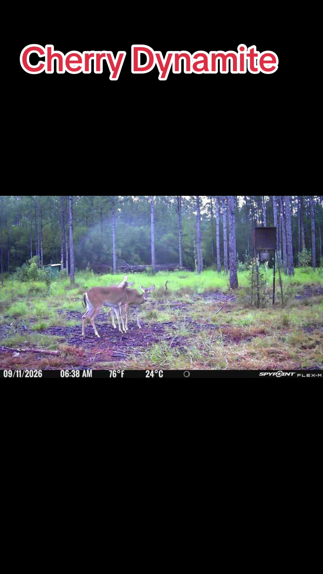 @devotedsportsmen23