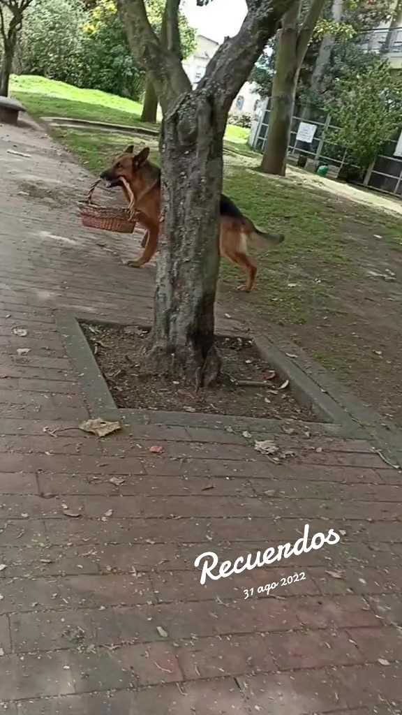 @M.O