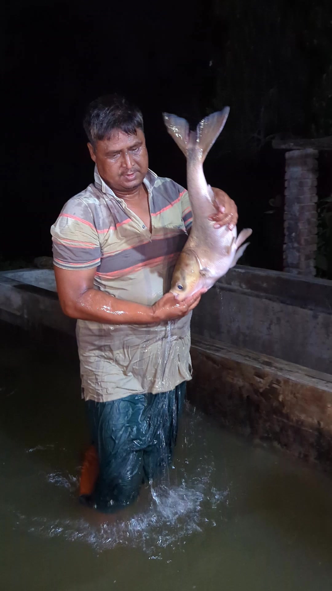 @Fish Lovers Bangladesh