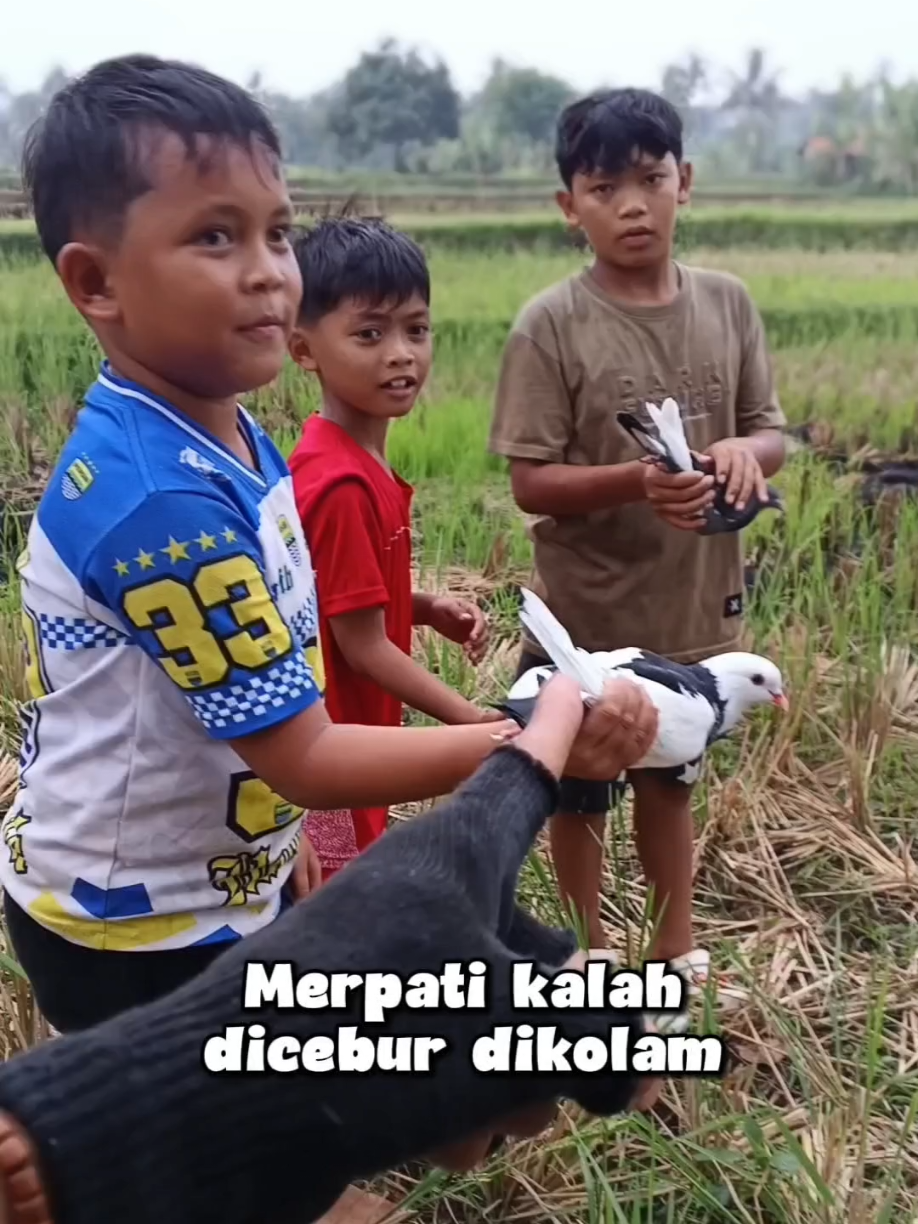 @BANG LEYON