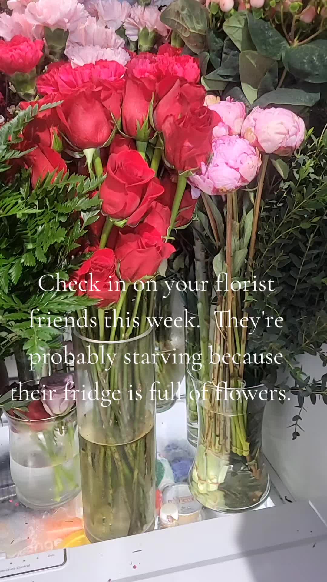 @Audrey