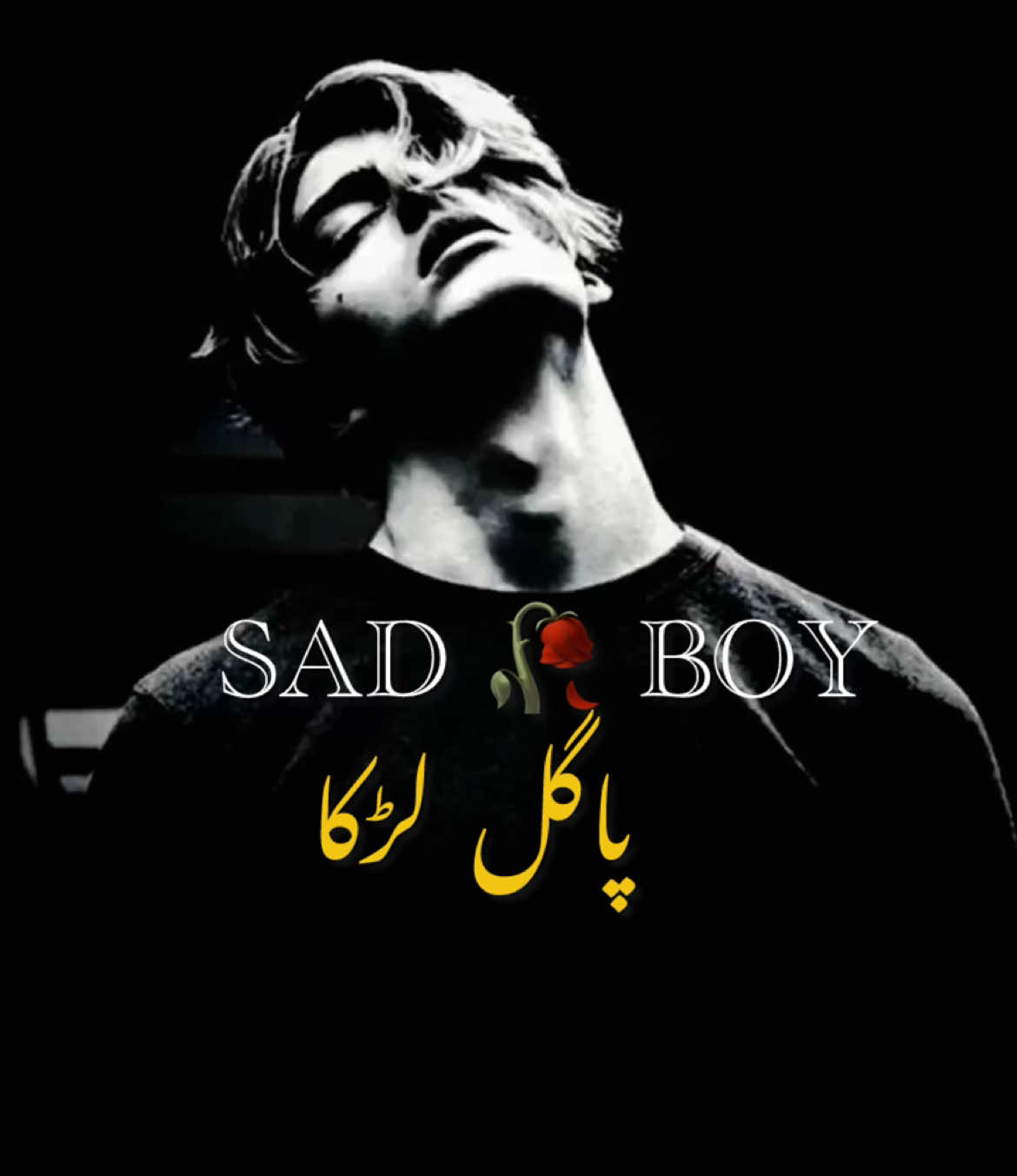 @😢 SAD BOY🎶