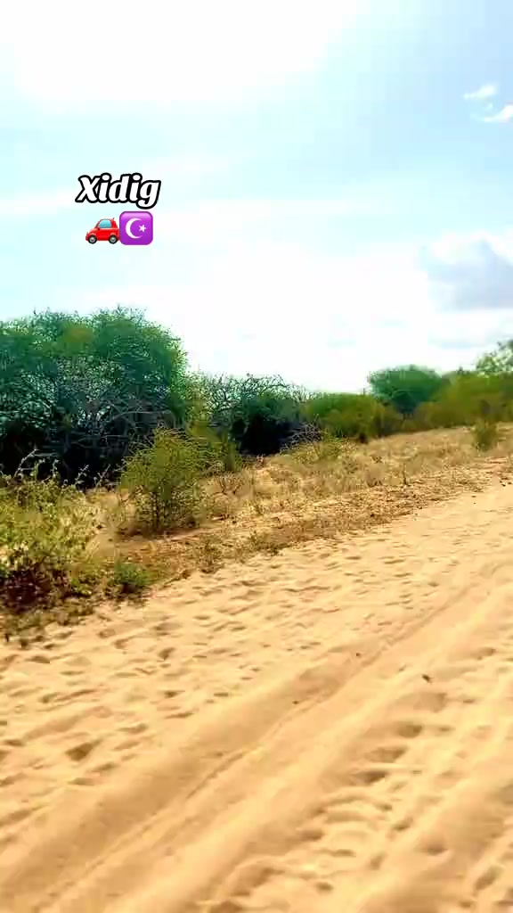 @Farxan xidig 4 🇸🇴🇰🇪 M