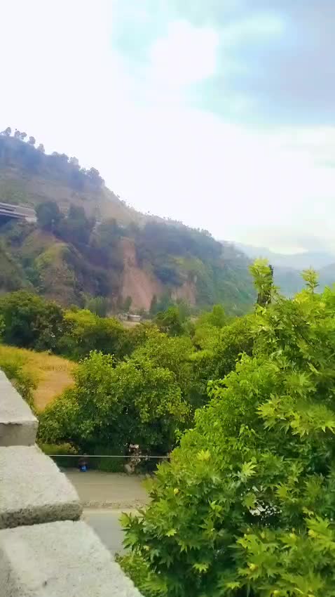 @pagal Foje