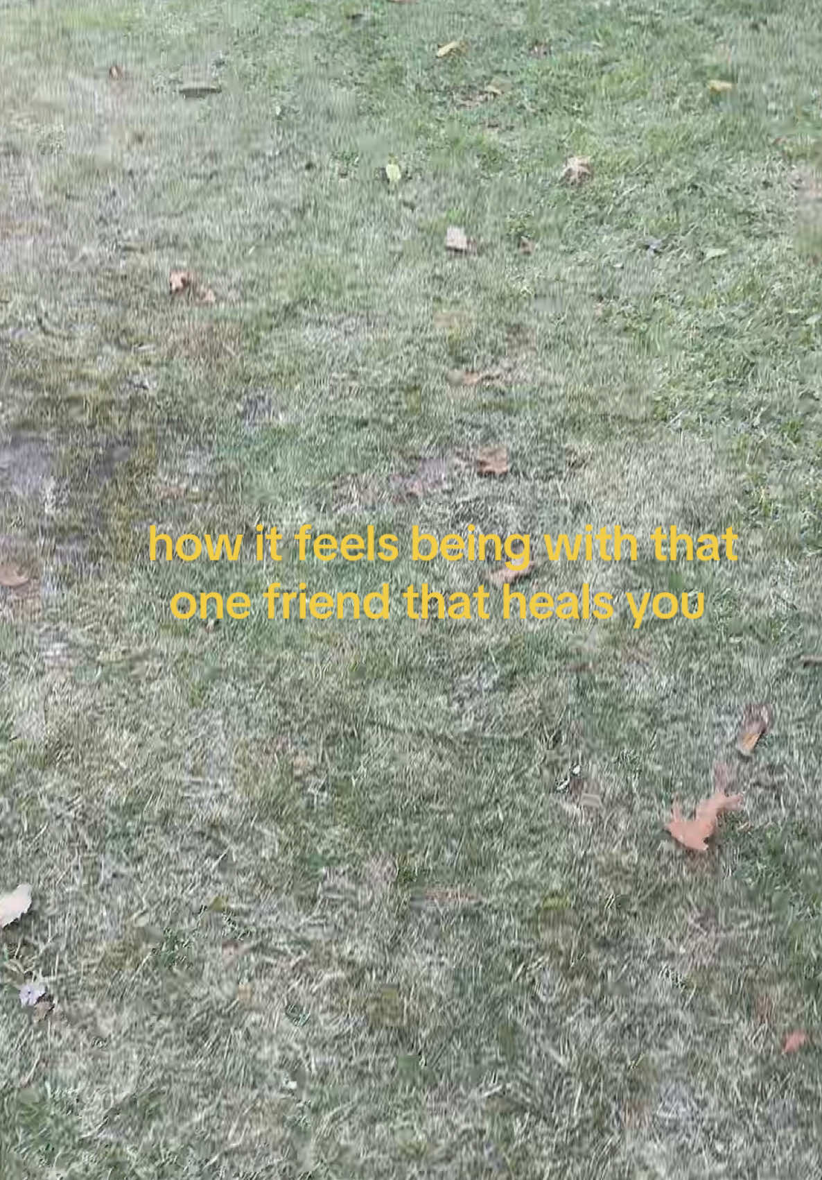 @lay