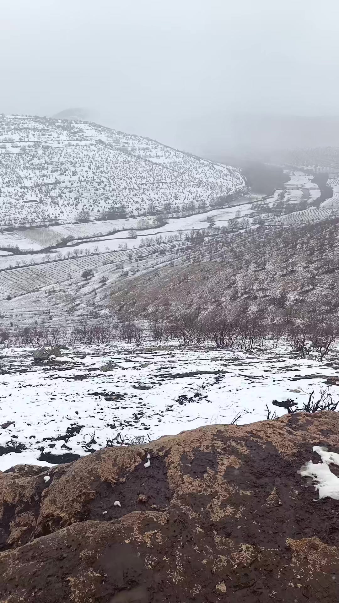 @Abdurrahim gül