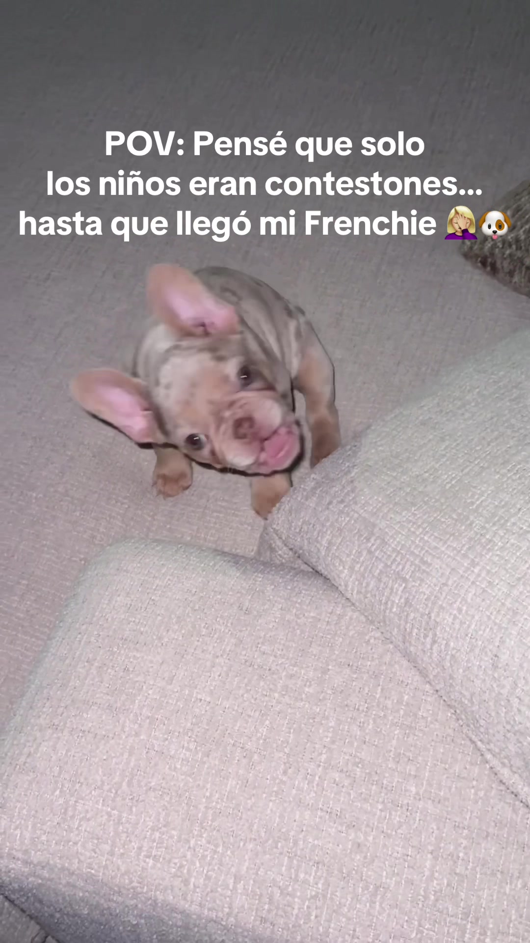 @AleeeTaxes 💼