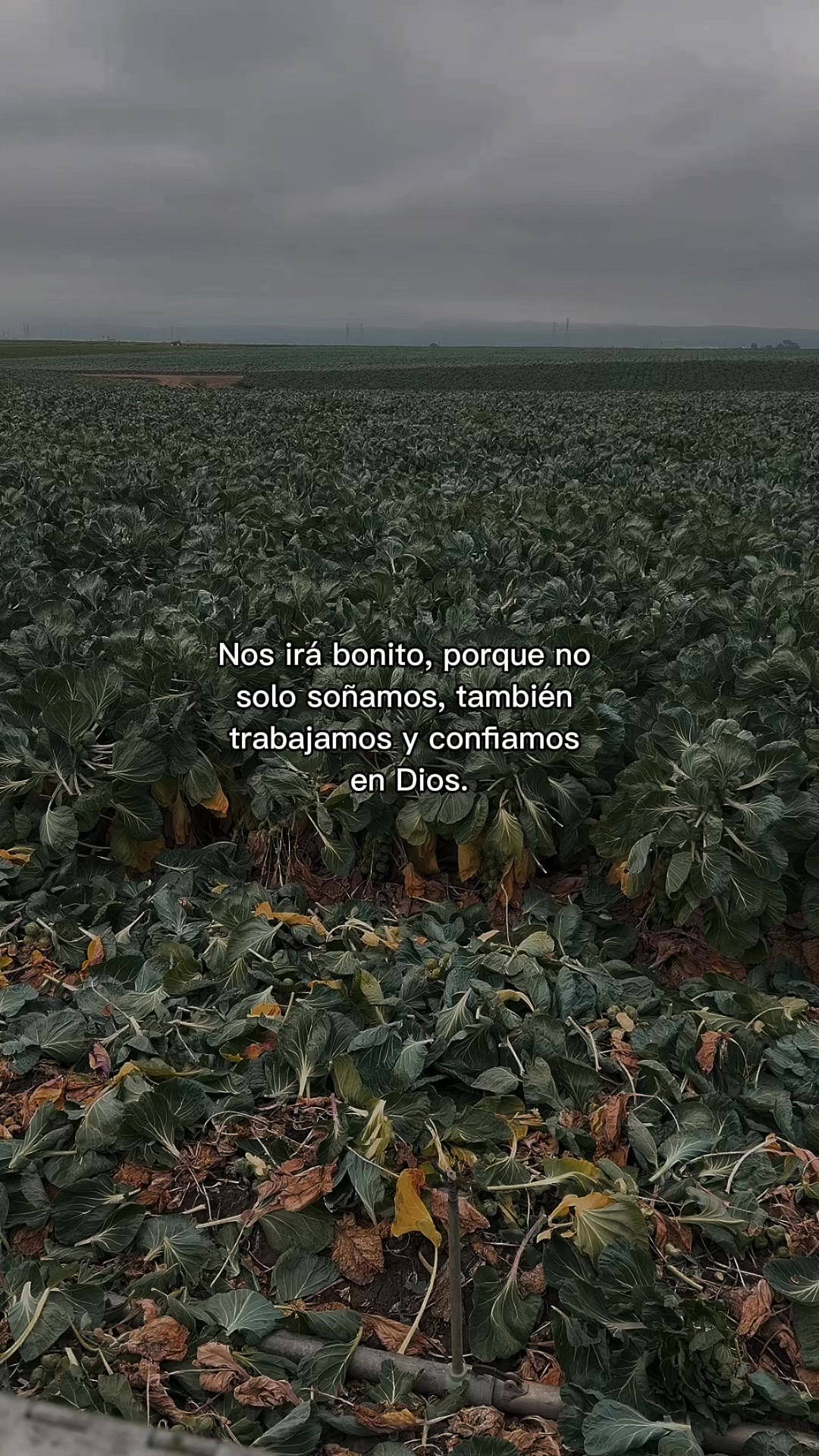 @Daniel Molina