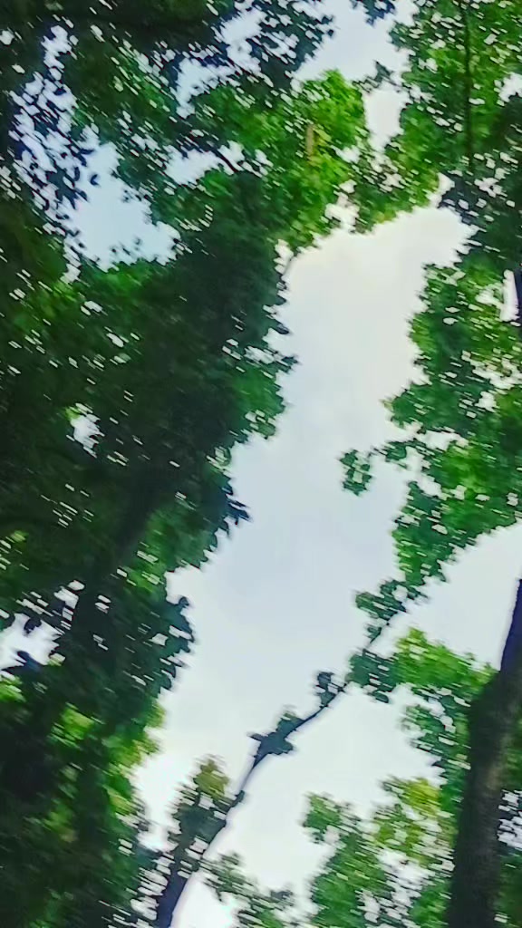 @Mr.ayush532