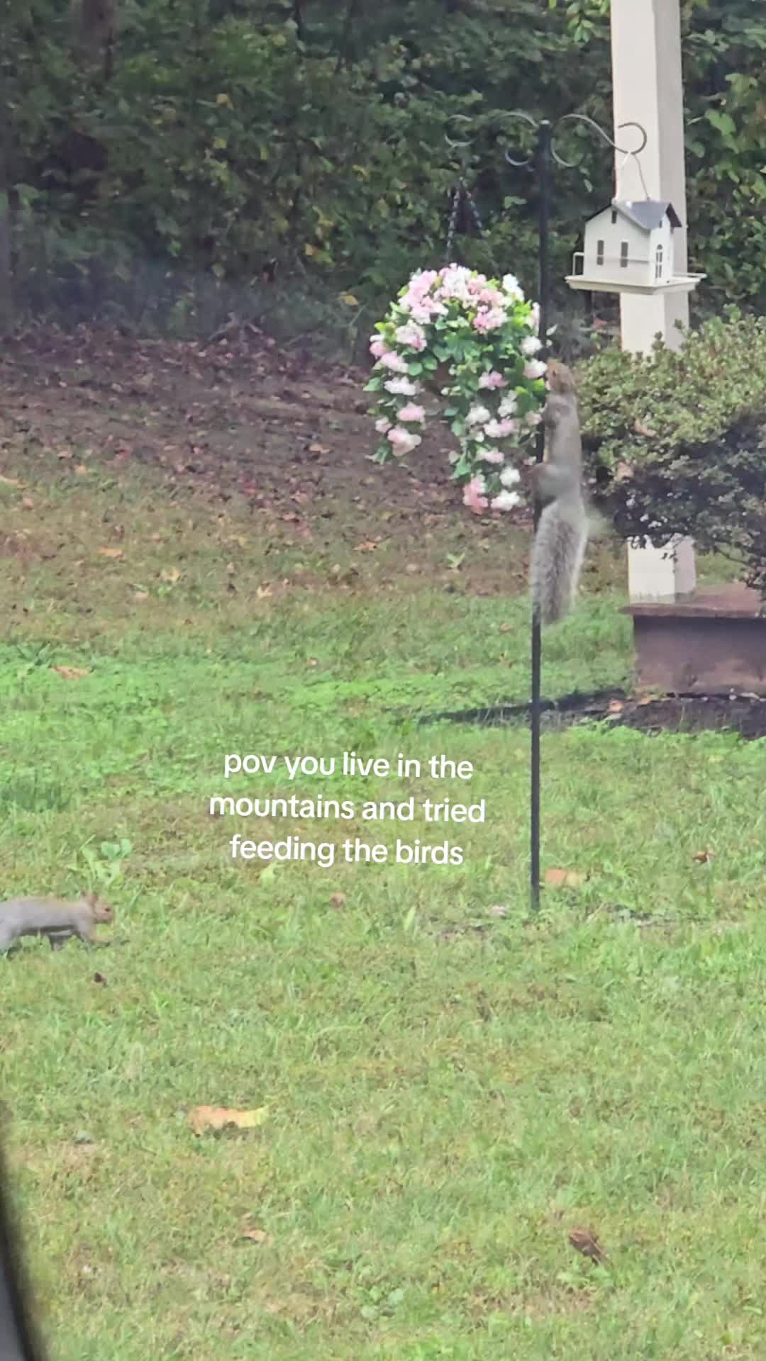 @ThatVeganBuzz