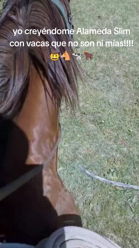 @Armando Castro Yañez