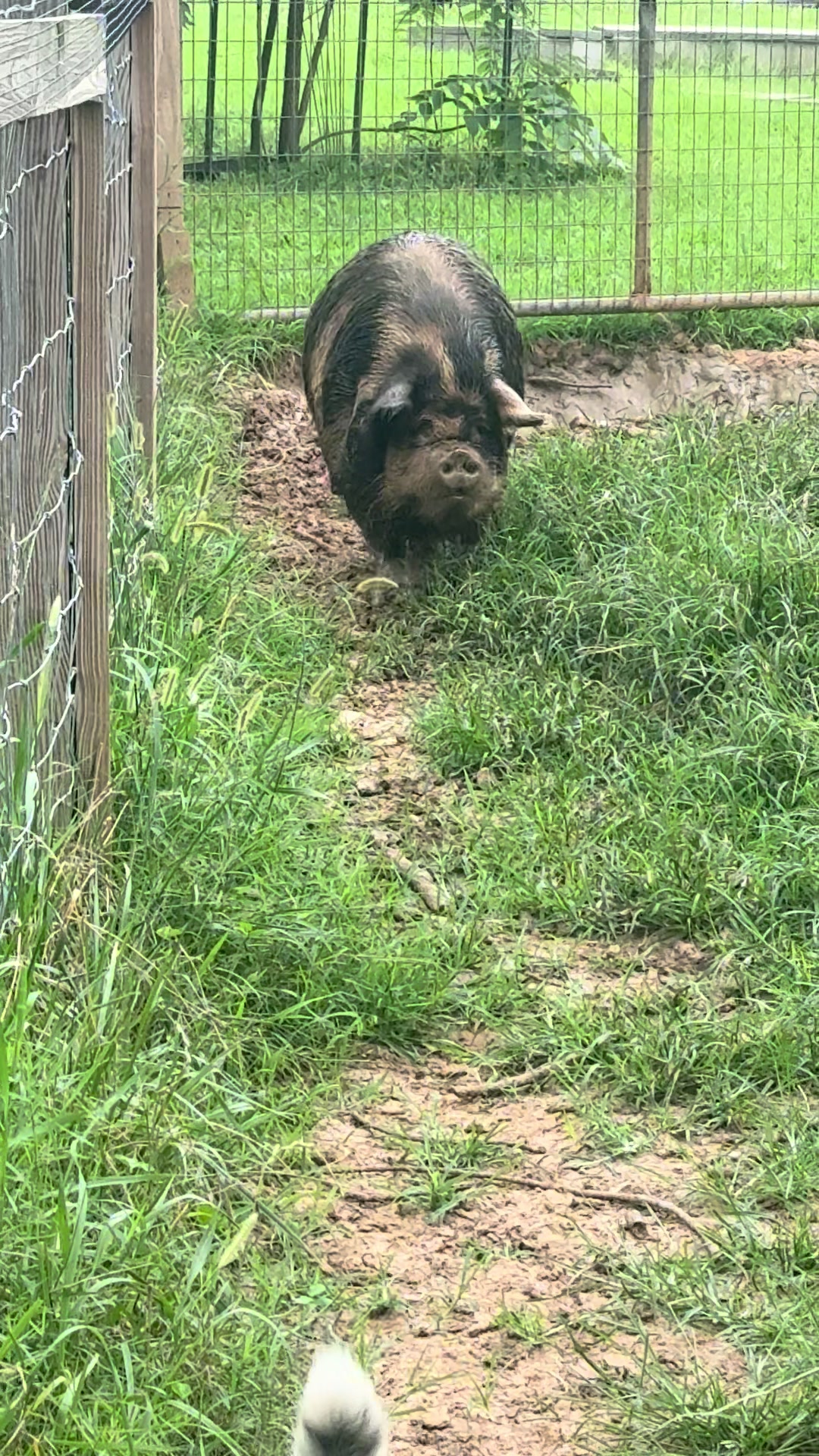 @merrickfarmstead