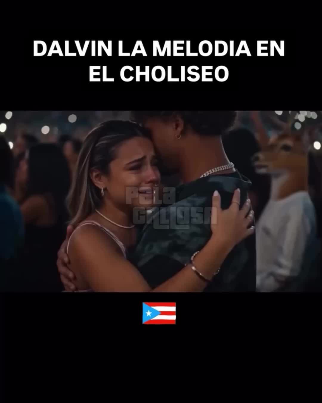 @palacallosaofficial