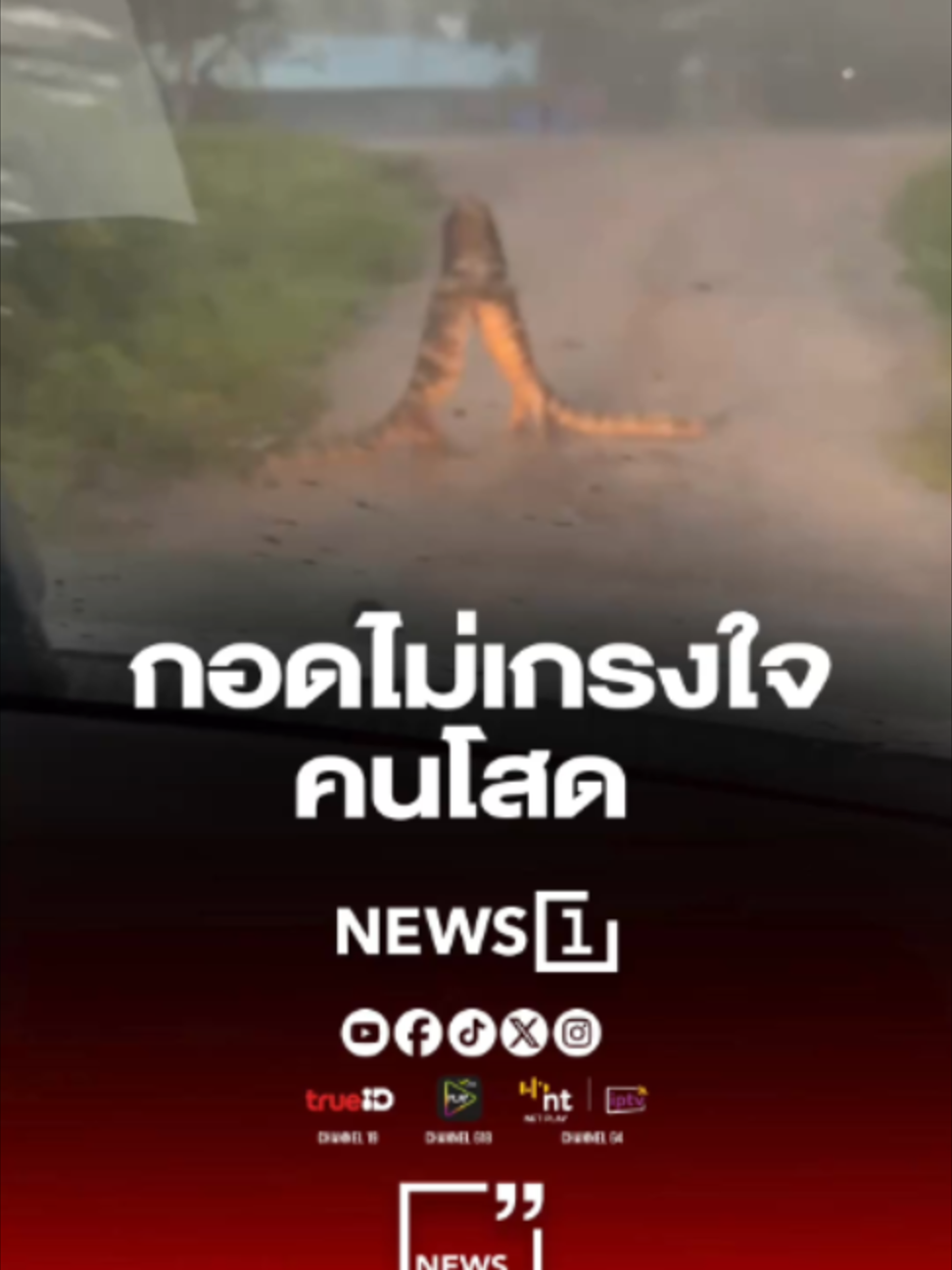 @news1
