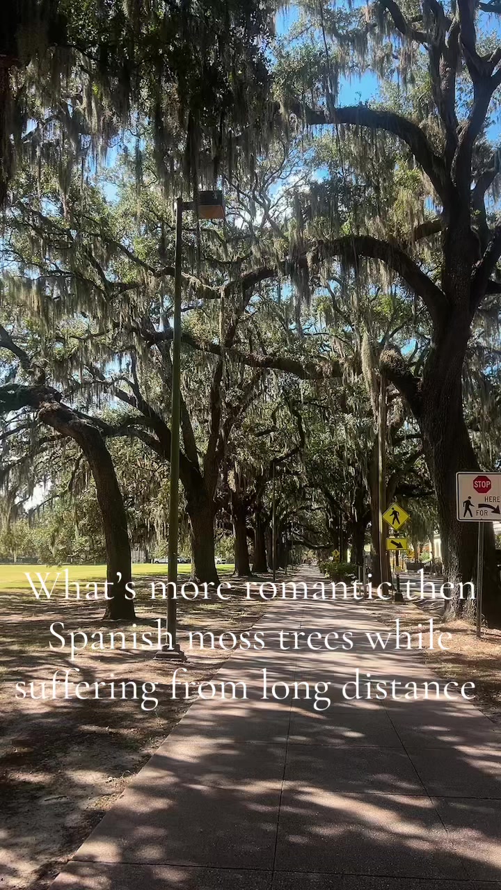@surfboardjellycat