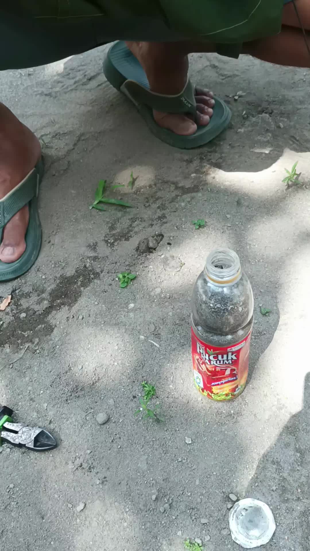 @𝘼𝙡𝙫𝙞𝙣