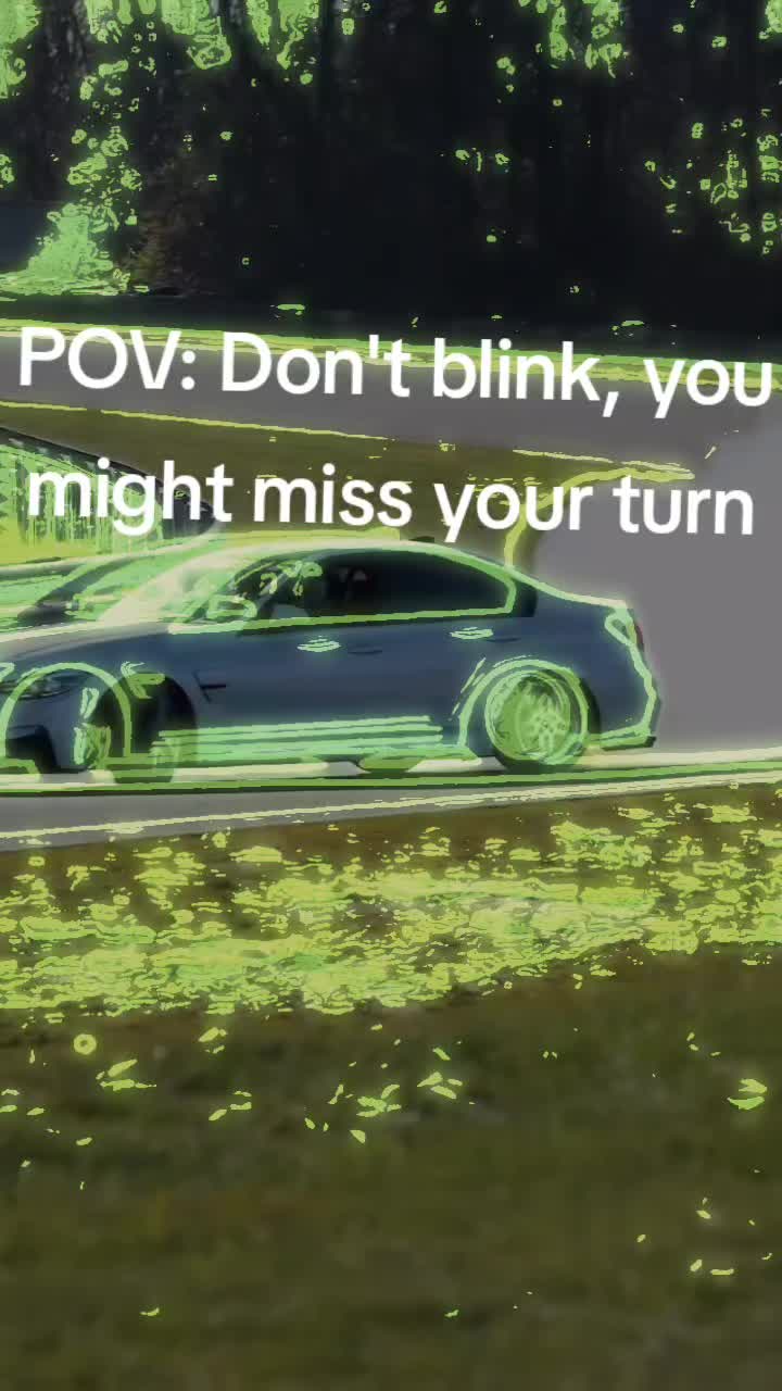 @bloodhoundliljeff