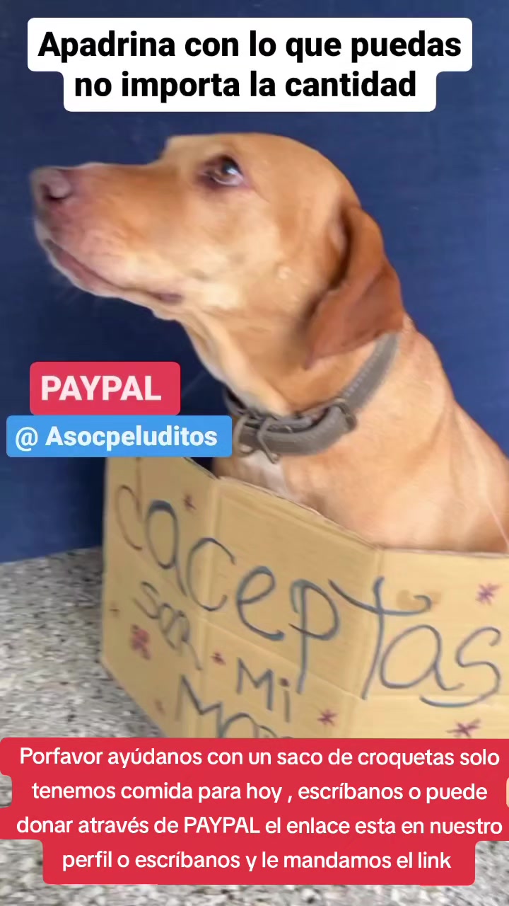 @Asoc. Peluditos