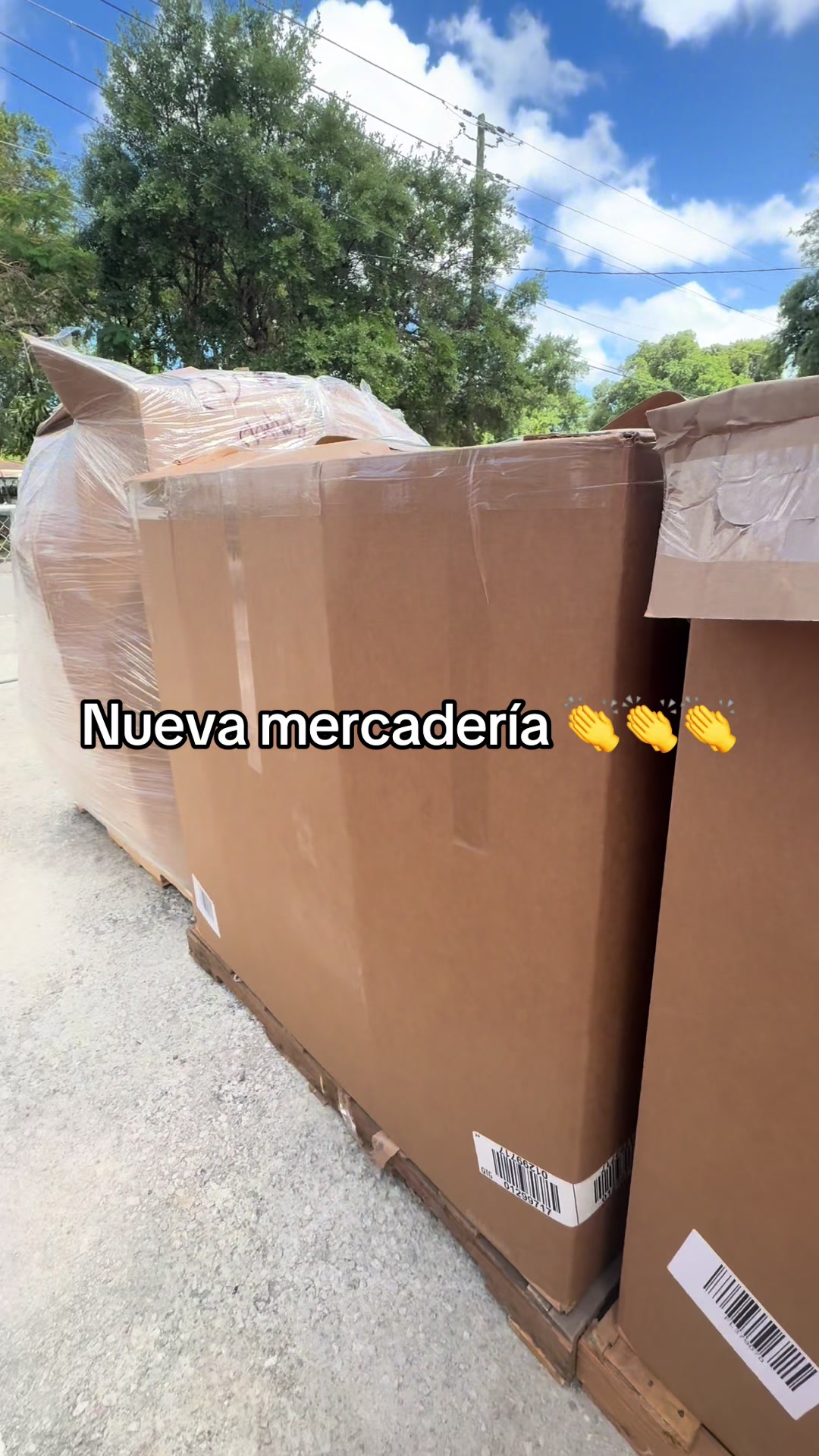 @MI PERCHA 5