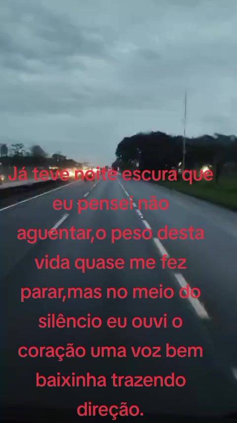 @Alzira Dias