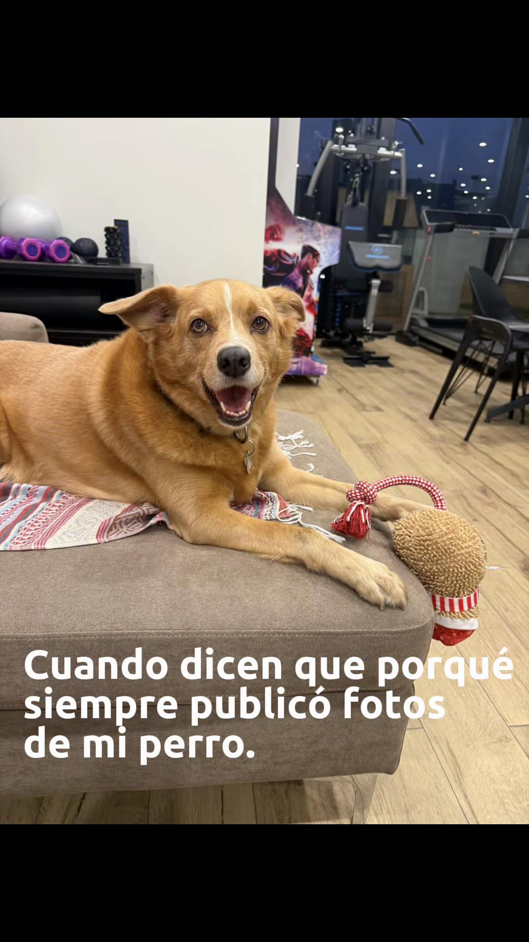 @Diario de Donny🐕 y mami👩🏻