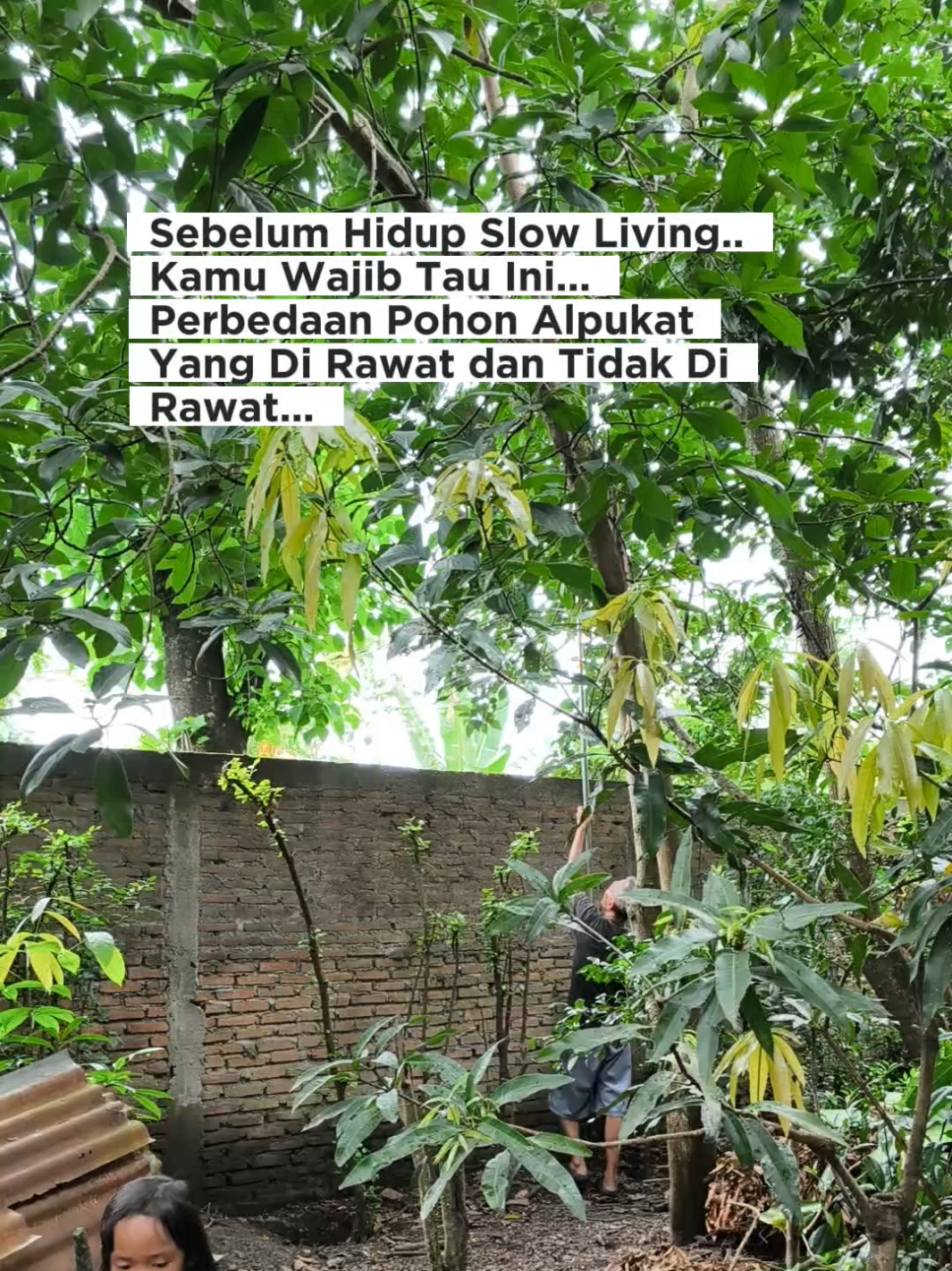 @LADIN ECOFARM STORE