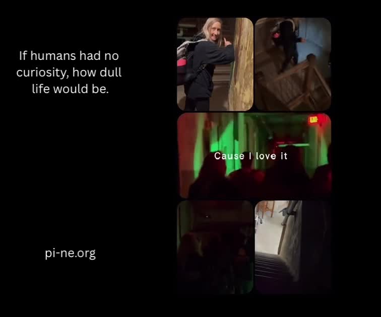 @PI-NE Paranormal