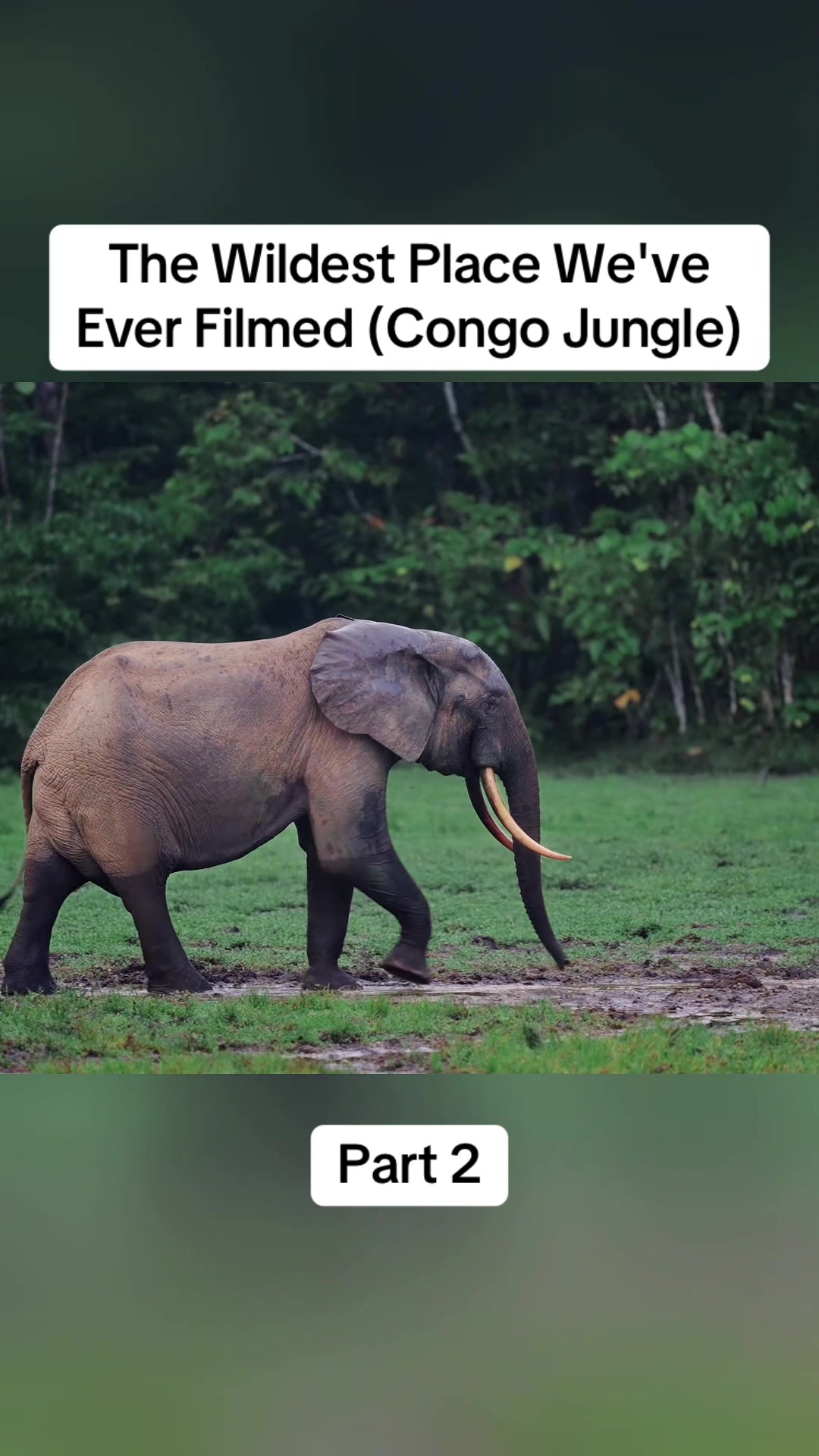 @DonkiGeo