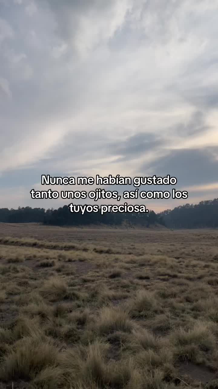 @C&aacute;mara for&aacute;nea