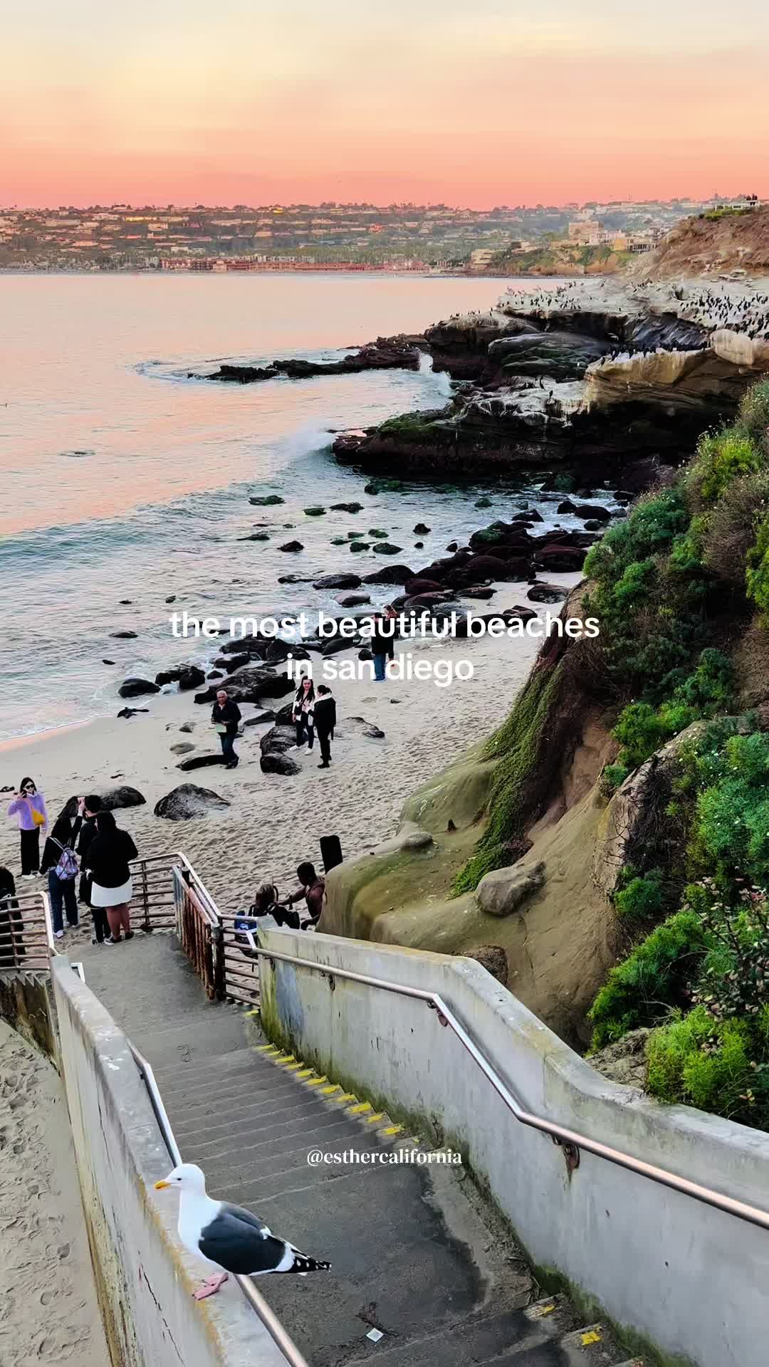 @esthercalifornia | san diego