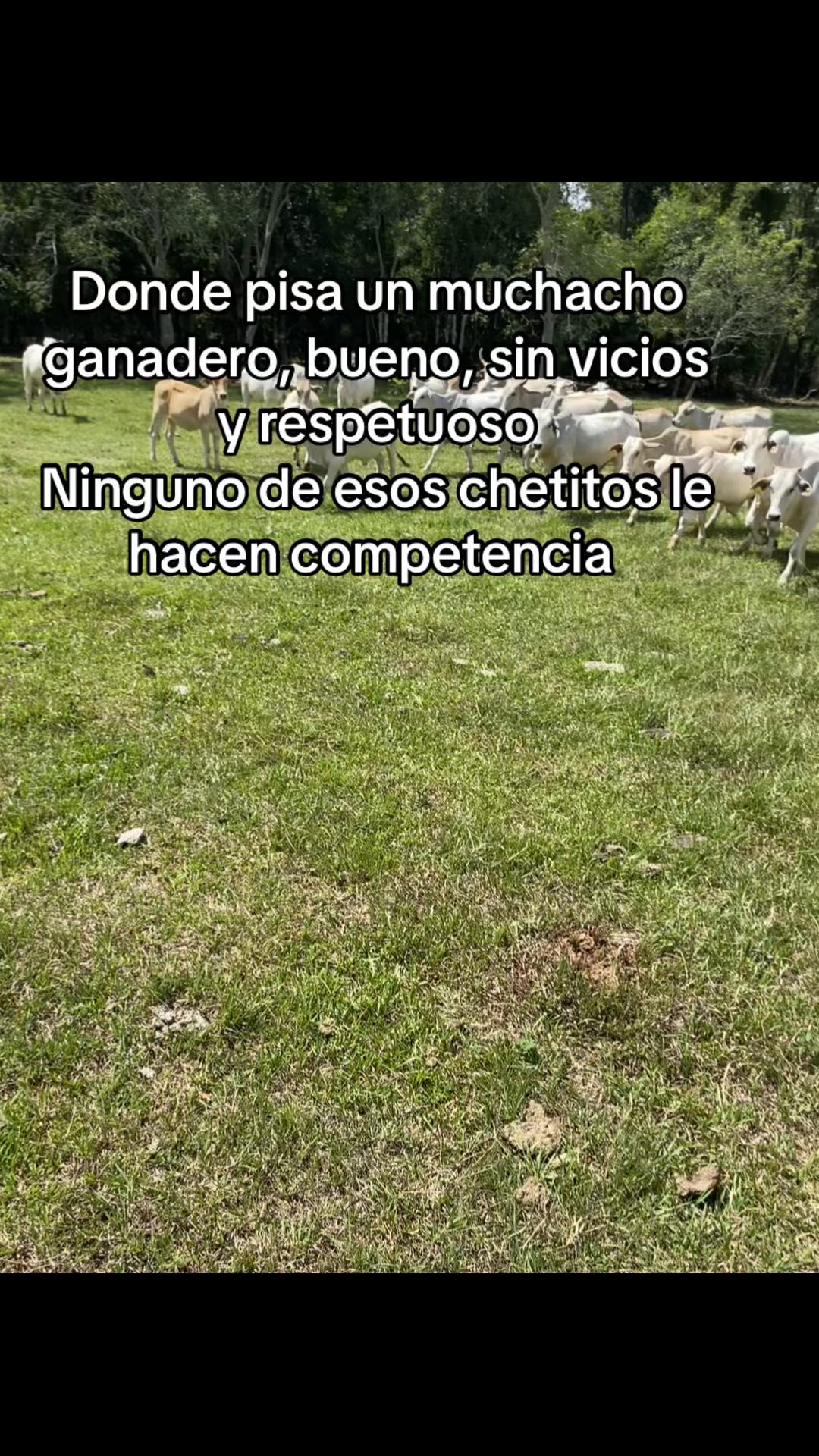 @ManuVM💸🧿🥷🍀📿🐅.