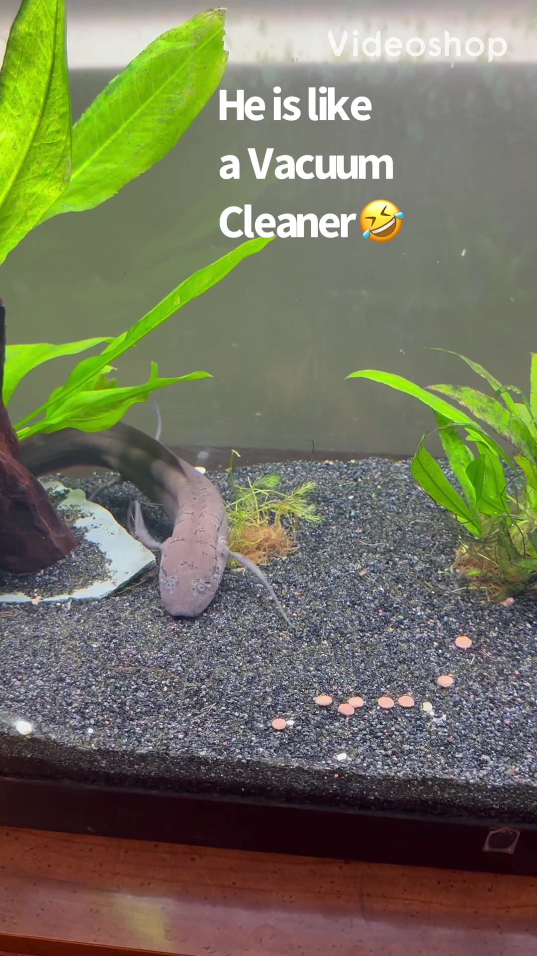 @fishdaddy2002