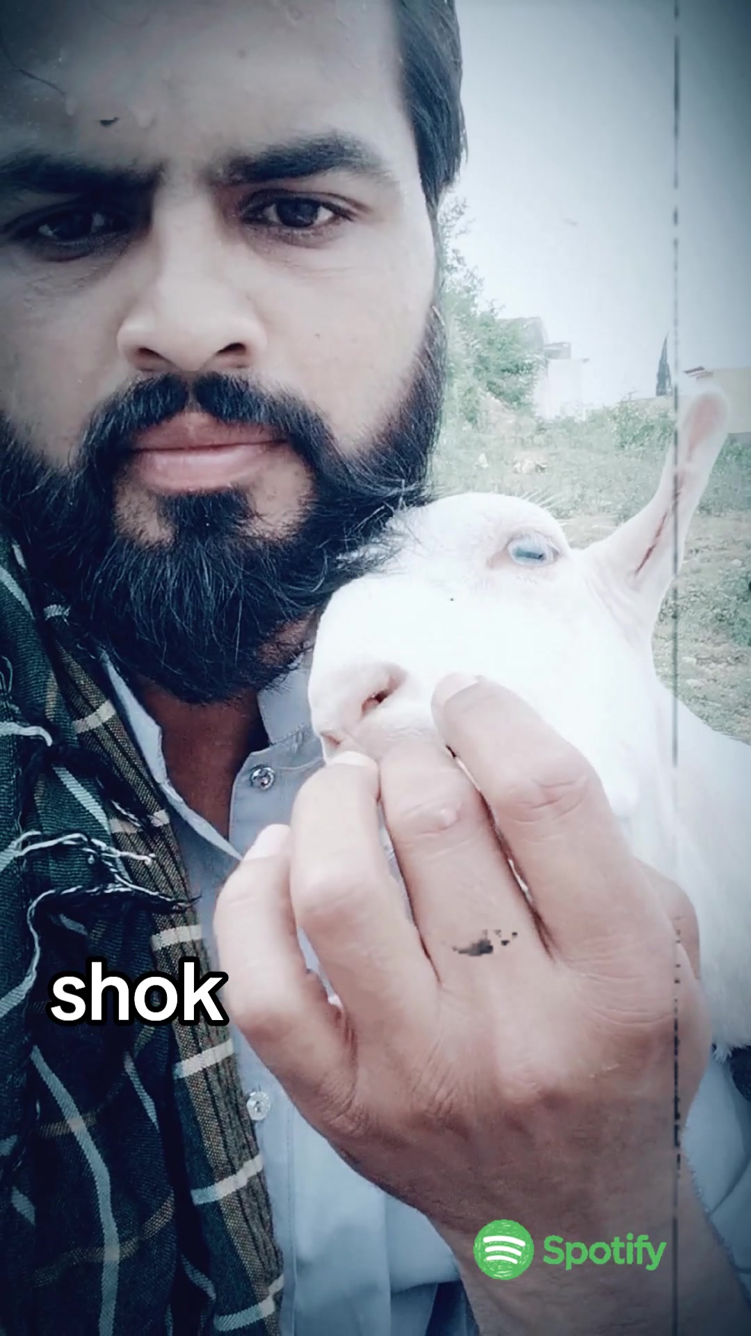 @M Mubashir Khan