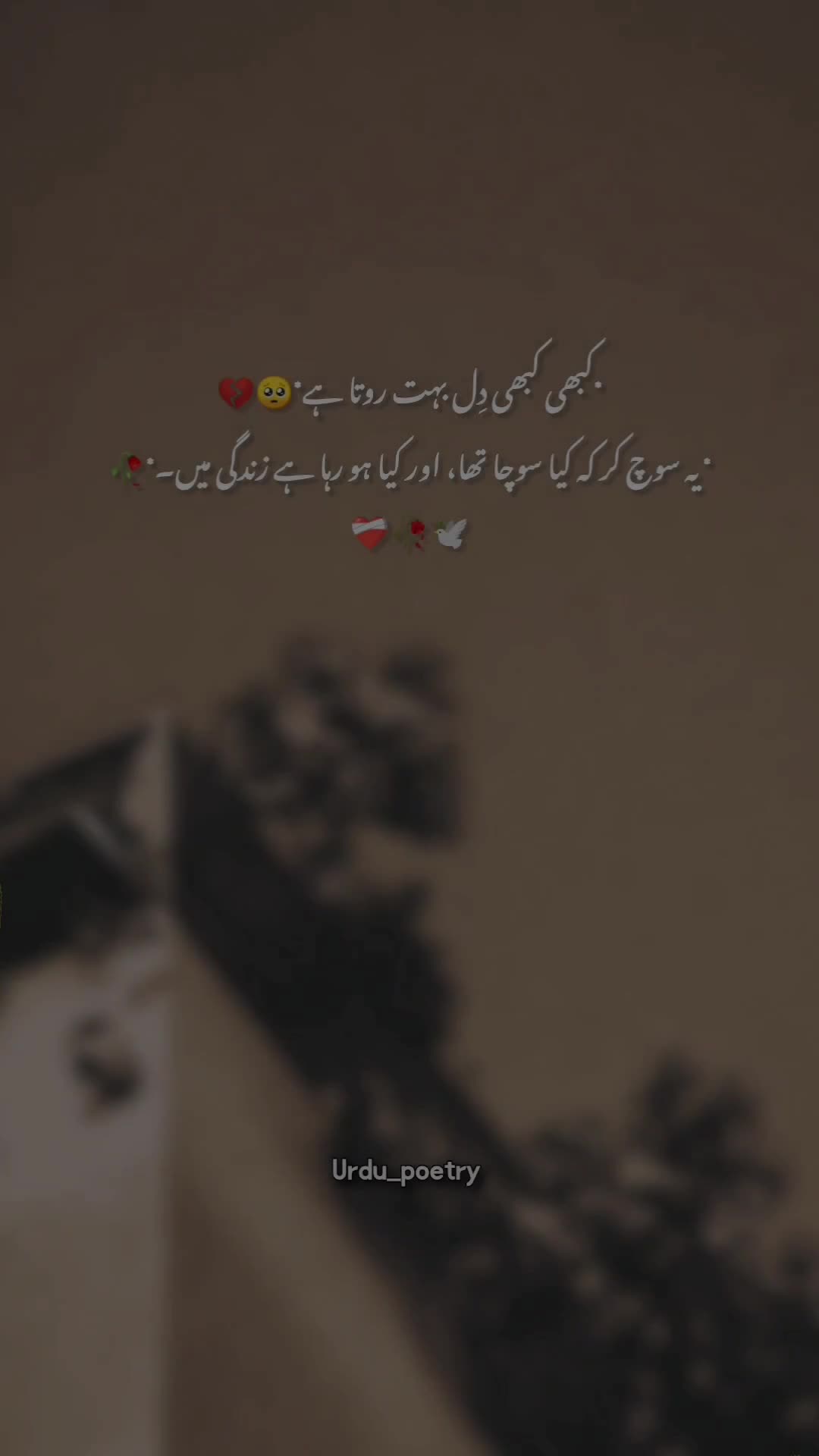 @𝐃𝐞𝐞𝐩 𝐥𝐢𝐧𝐞𝐬 ✨