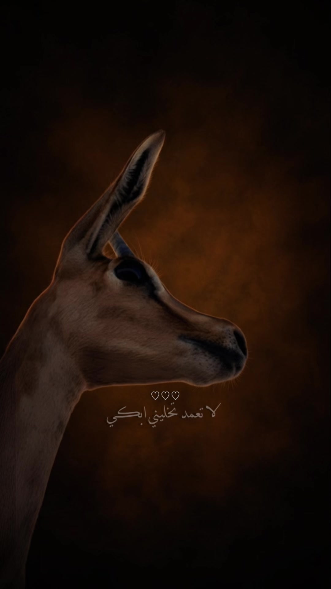 @﮼غزال🦌