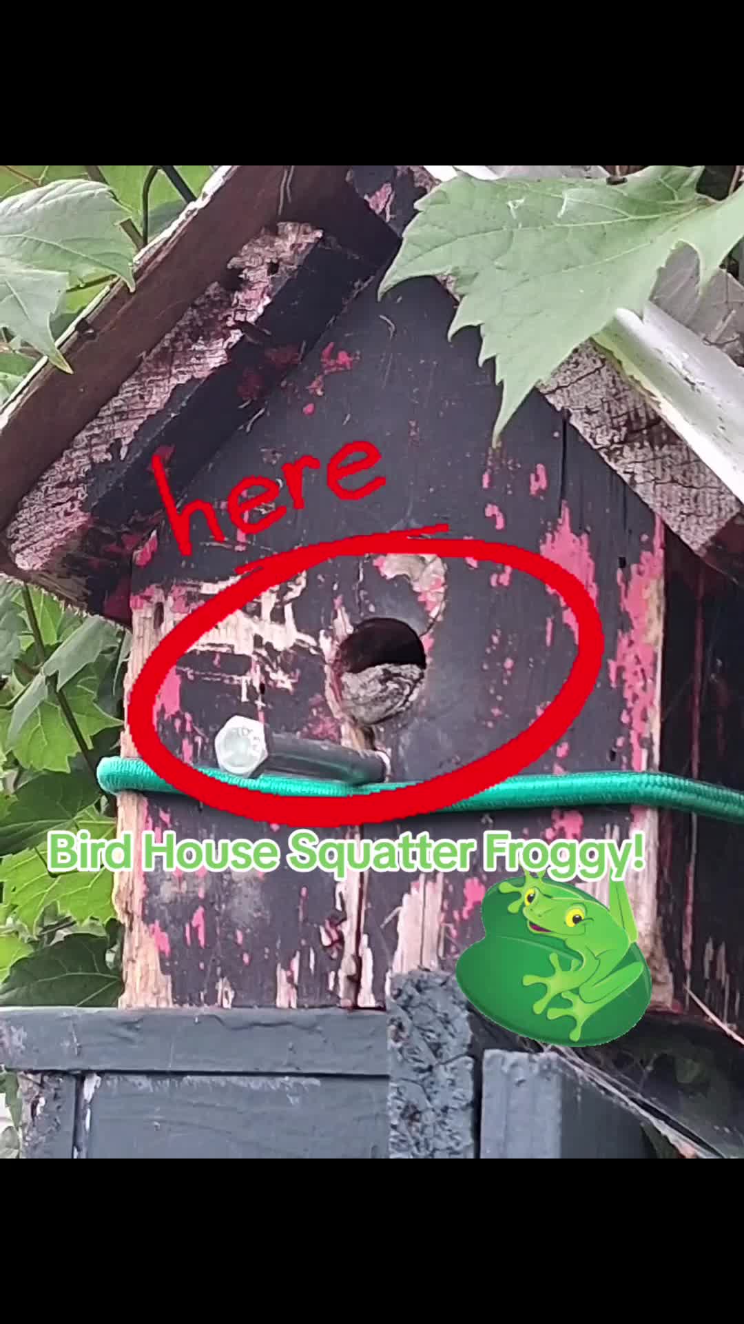 @Threelittlebirdz