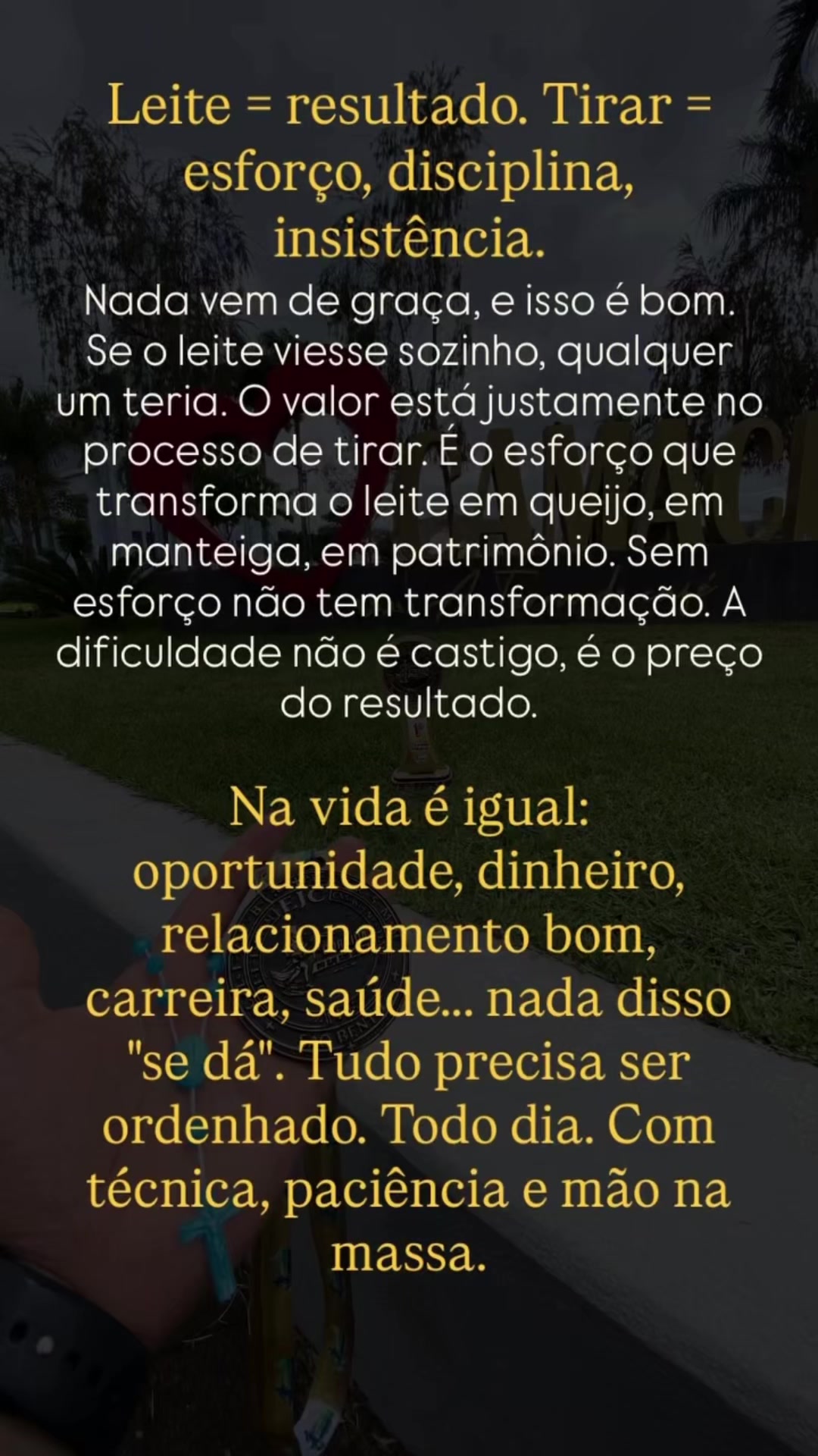 @movimentese_comigo_