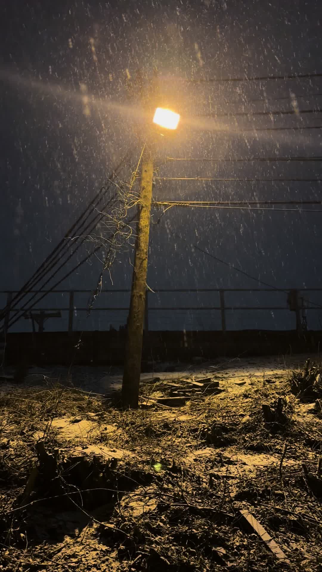@❄️🍁