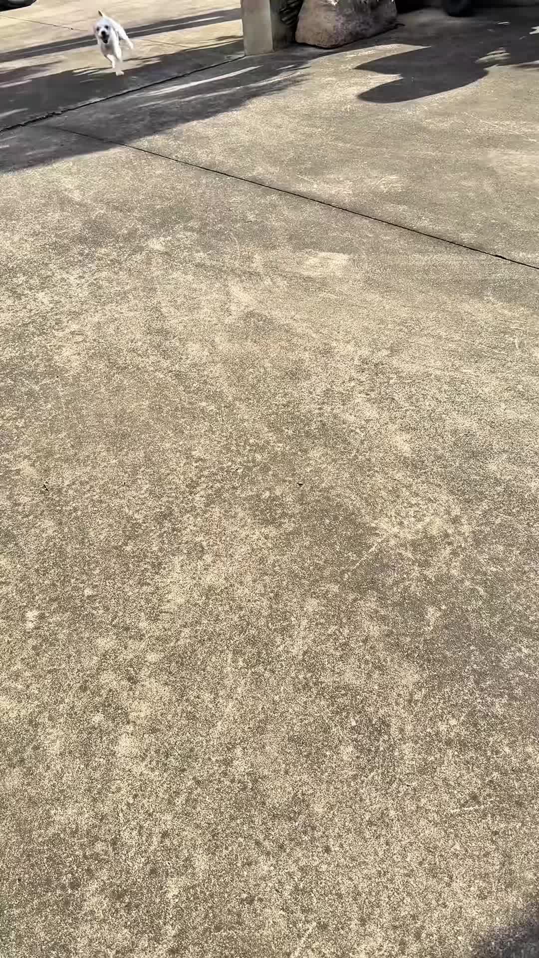 @funnyvideo3782