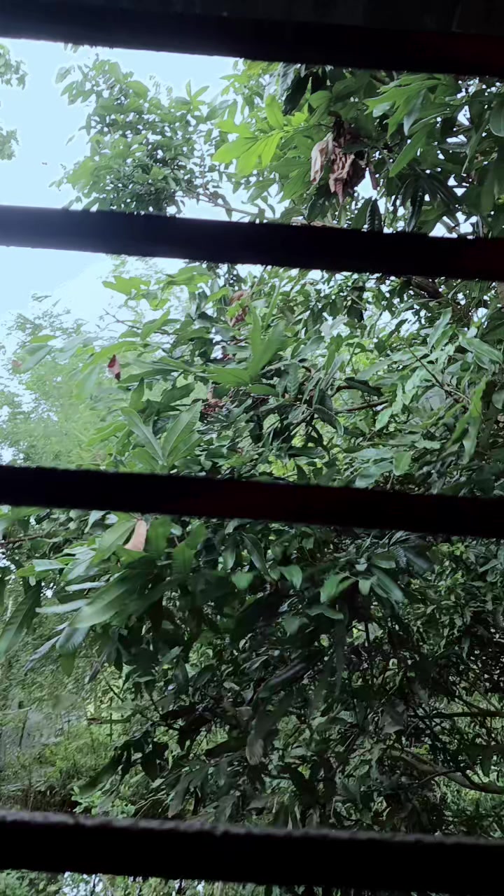@😘আল-আমিনের বউ😍