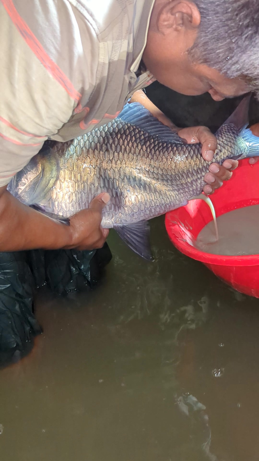 @Fish Lovers Bangladesh